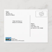 Round Island Lighthouse Briefkaart (Achterkant)