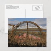 Round King Crab Crabpot, Nederlandse haven, Alaska Briefkaart (Voorkant / Achterkant)