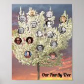 Round Photos with White Blossom Tree and Sunset Poster (Voorkant)