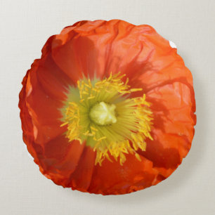 Round Pillow Rond Kussen