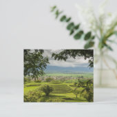 Round Pyramids Ruins, Sayulita, Nayarit, Mexico Briefkaart (Staand voorkant)