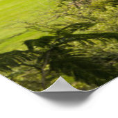 Round Pyramids Ruins, Sayulita, Nayarit, Mexico Poster (Hoek)