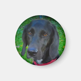 ROUND REFRIGERATOR MAGNET, BLACK LAB, GIFTS, PETS MAGNEET