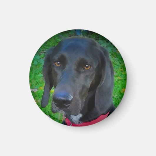 ROUND REFRIGERATOR MAGNET, BLACK LAB, GIFTS, PETS MAGNEET (Voorkant)