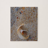 Round Seashell Puzzle Legpuzzel (Verticaal)