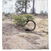 Round Tree Cuba Mesa, New Mexico Douchegordijn (Voorkant)