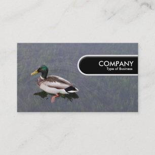 Roundedge Label - Mallard Duck