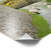 Roundstone Rush uur Foto Afdruk (Hoek)