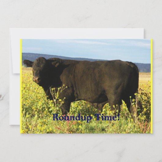 Roundup Time. Rundveer - Westerne stijlpartij Kaart (Voorkant)