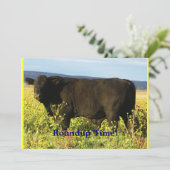 Roundup Time. Rundveer - Westerne stijlpartij Kaart (Staand voorkant)