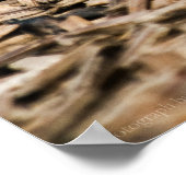 Rourning Dove 3 Print (Hoek)