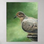 Rourning Dove Bird Art Print (Voorkant)