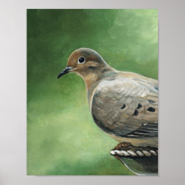 Rourning Dove Bird Art Print