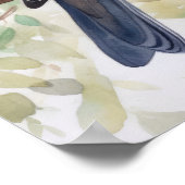 Rourning Dove Bird Art Print Poster (Hoek)