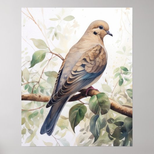 Rourning Dove Bird Art Print Poster (Voorkant)
