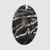 Rourning Dove in de sneeuwversiering Ornament (voorkant)