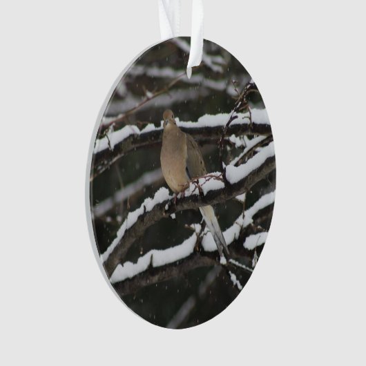 Rourning Dove in de sneeuwversiering Ornament (voorkant)