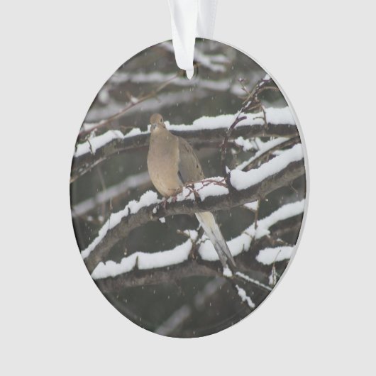 Rourning Dove in de sneeuwversiering Ornament (voorkant)