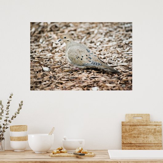 Rourning Dove Print (Keuken)