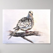 Rourning Dove Print (Voorkant)