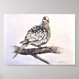 Rourning Dove Print