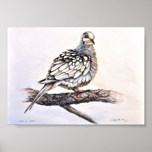Rourning Dove Print (Voorkant)
