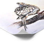 Rourning Dove Print (Hoek)