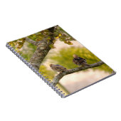 Rourning Doves Birds-laptop Notitieboek (Rechterzijde)