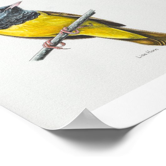 Rourning Warbler Art Print (Hoek)