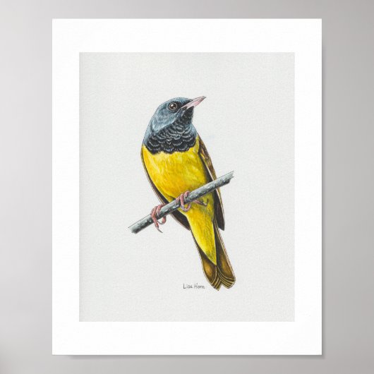 Rourning Warbler Art Print (Voorkant)