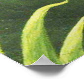 Rousseau Oerwoud Tropical Lion Art Print Foliage (Hoek)