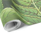 Rousseau Tropisch Oerwoud Leeuw Schilderen Cadeaupapier (Rol Hoek)