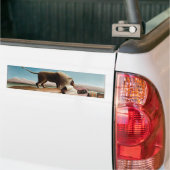 Rousseau's "The Sleeping Gypsy" (1897) Bumpersticker (Op Truck)