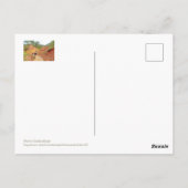 Roussillon, Provence, oker en roos gekleurde kliff Briefkaart (Achterkant)