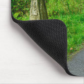 Route 66 Cycleway, Brearley Muismat (Hoek)