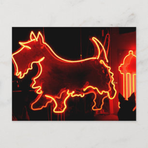 Route 66 neon bord briefkaart