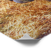 Route 66 Oude Vrachtwagen Poster (Hoek)