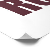 Route in Pyrenees, Frankrijk Poster (Hoek)