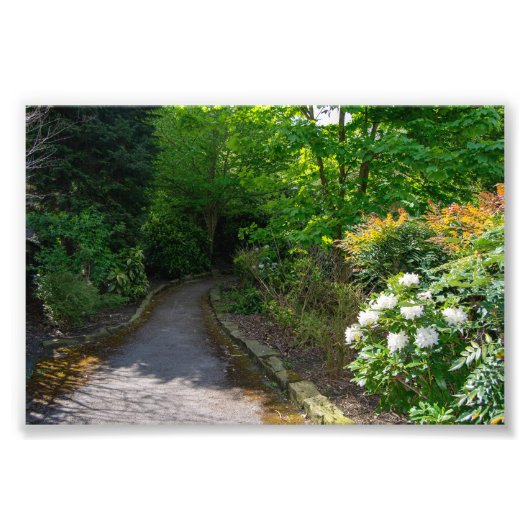 Route naar Allan Park, Sowerby Bridge Foto Afdruk (Voorkant)