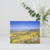 Routt National Forest in de herfstkleur, vlakbij Briefkaart (Staand voorkant)