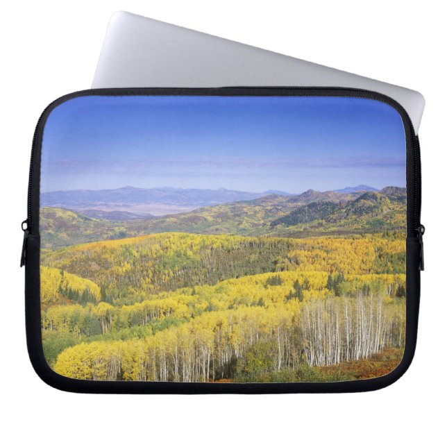 Routt National Forest in de herfstkleur, vlakbij Laptop Sleeve (Voorkant)