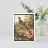  rouw Dove - Robert Bruce Horsfall Briefkaart (Staand voorkant)