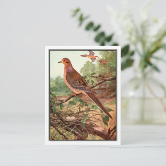  rouw Dove - Robert Bruce Horsfall Briefkaart (Staand voorkant)