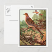  rouw Dove - Robert Bruce Horsfall Briefkaart (Voorkant / Achterkant)