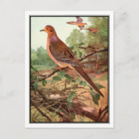 rouw Dove - Robert Bruce Horsfall