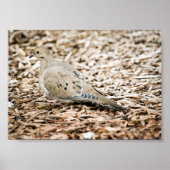 Rouwduif 3 Print (Voorkant)