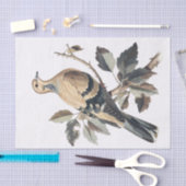 rouwduif illustratie decoupage tissuepapier (Craft)