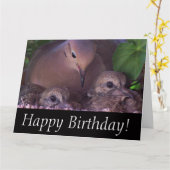 Rouwende Duif Baby Vogels Wildlife Animals Kaart (Gele Bloem)