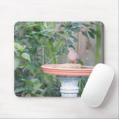 Rouwende duif bij Birdbath Muismat (Met muis)