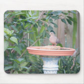 Rouwende duif bij Birdbath Muismat (Voorkant)